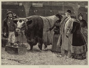 Başarının Zevki
